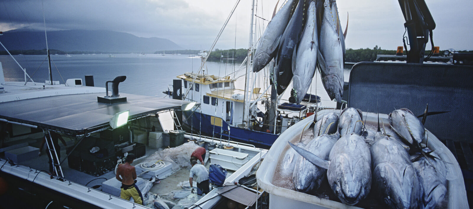漁業用機器 | 船舶用製品 | Garmin 日本
